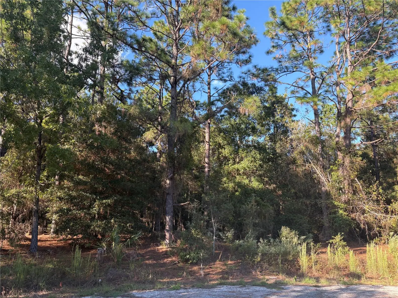 1742 Mesa Verde Drive, FL