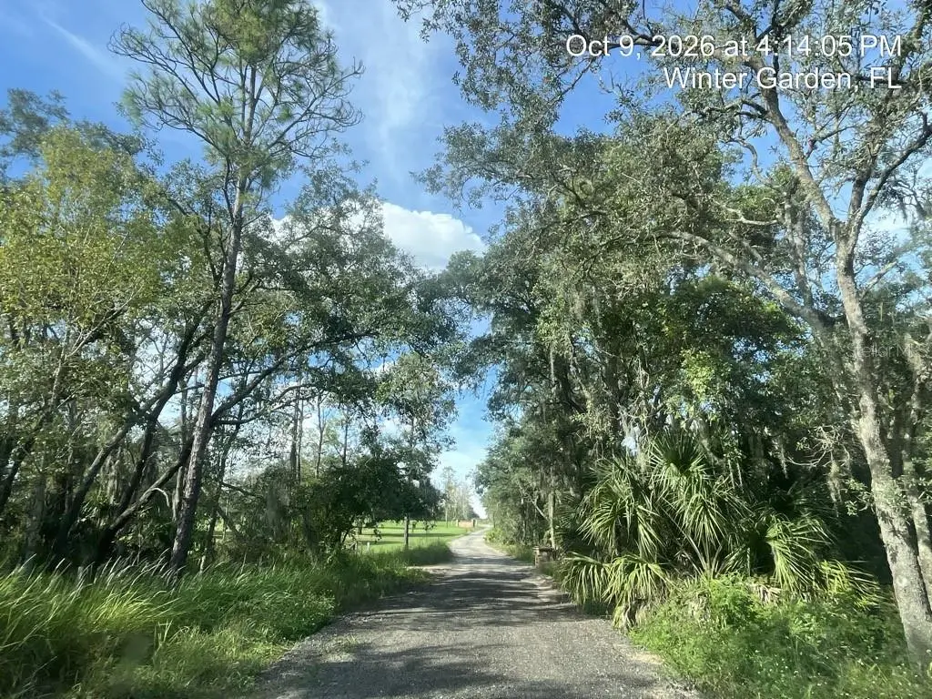 9901 Avalon Woods Drive, FL