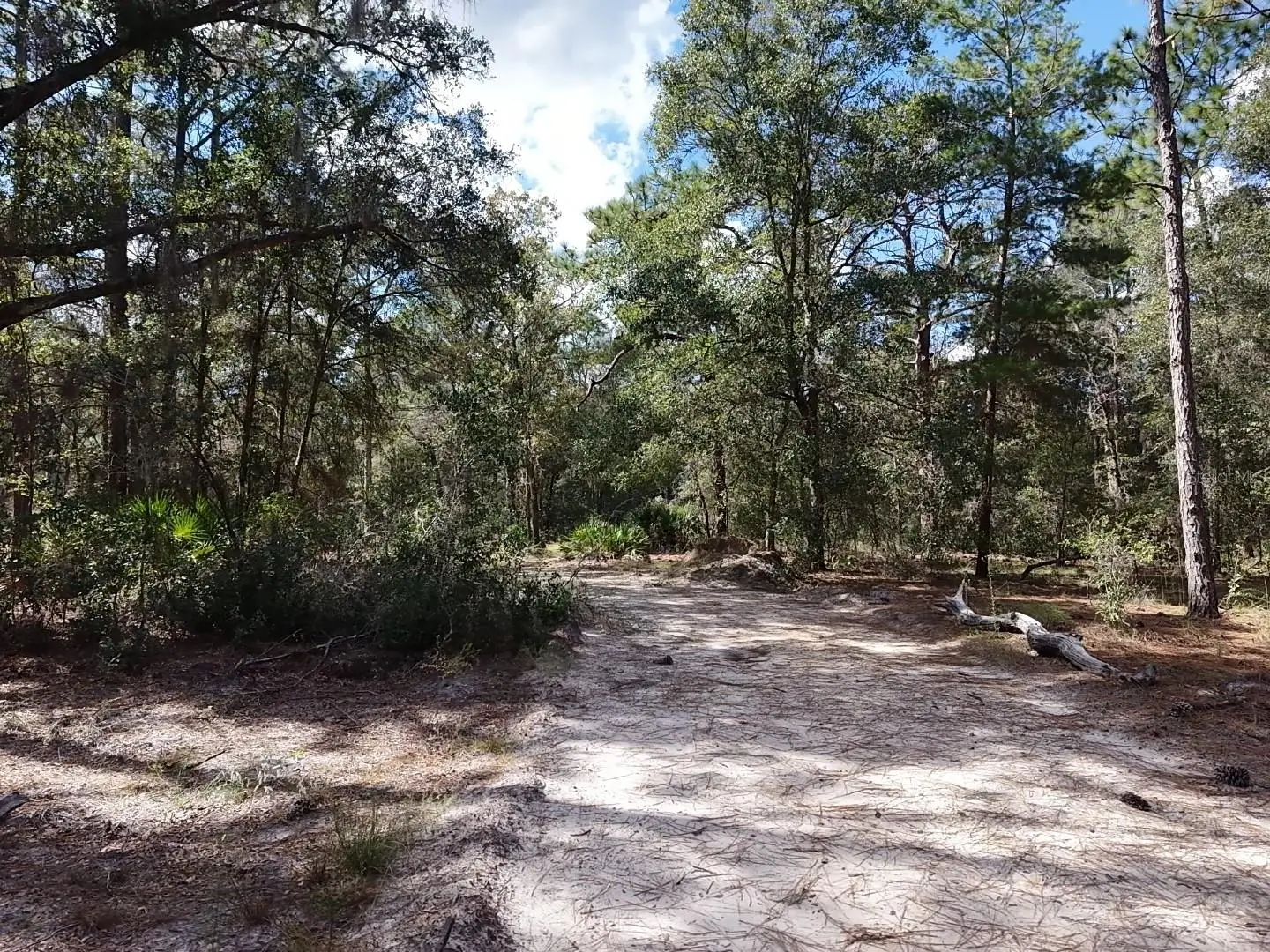 7416 Nathan Point, FL