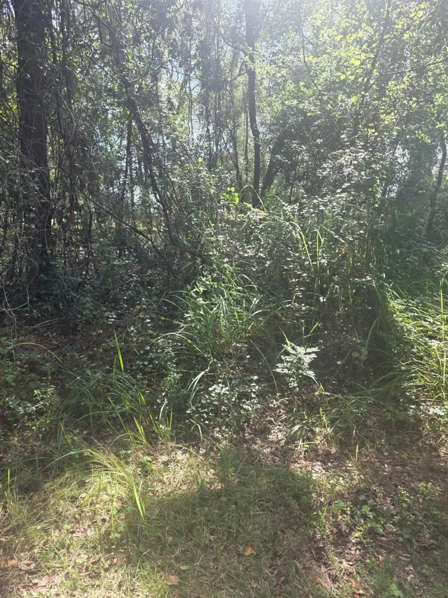 Tbd 136th Lane, FL