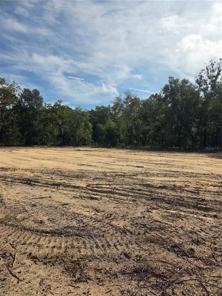 16016 Sheldrake Loop, FL
