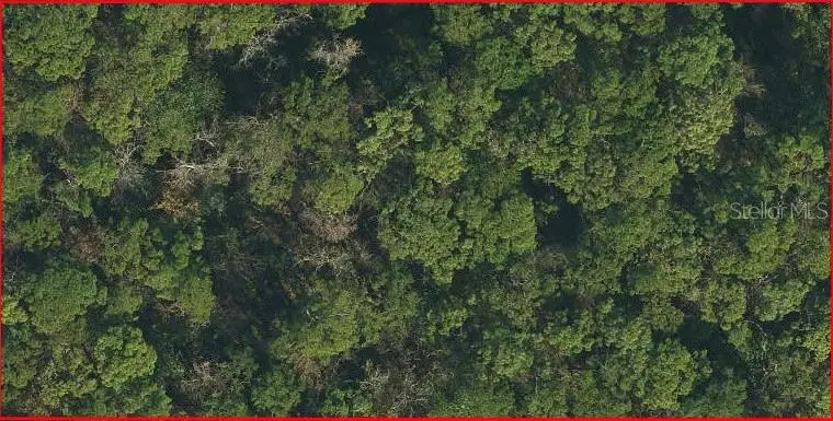 Sweetwater Trail, FL