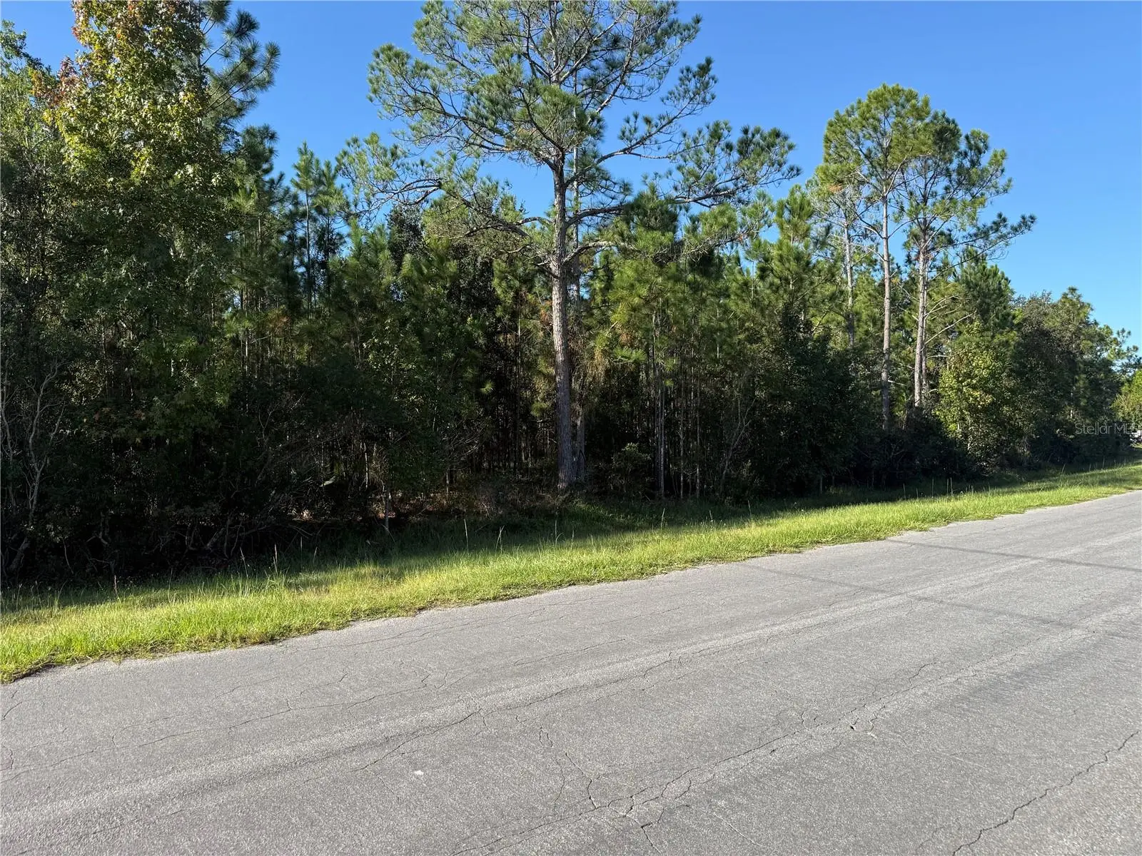 Reynolds Parkway, FL