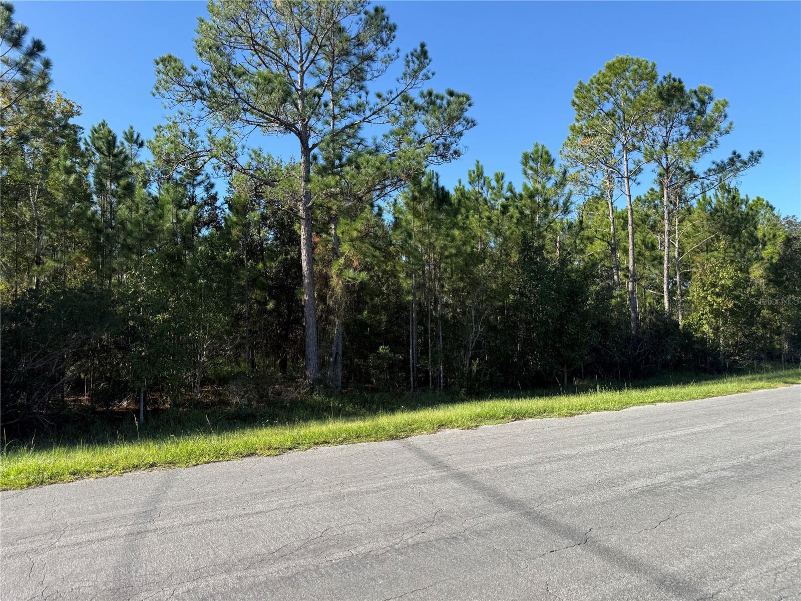 Reynolds Parkway, FL