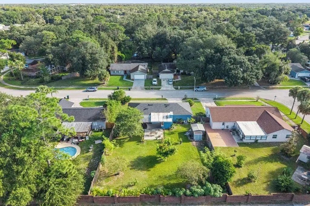 8509 Lyonia Drive, FL
