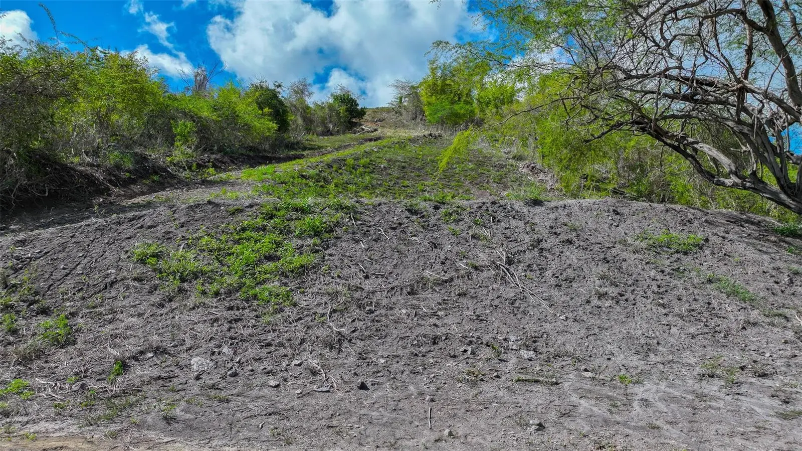 121 Road 121, PR