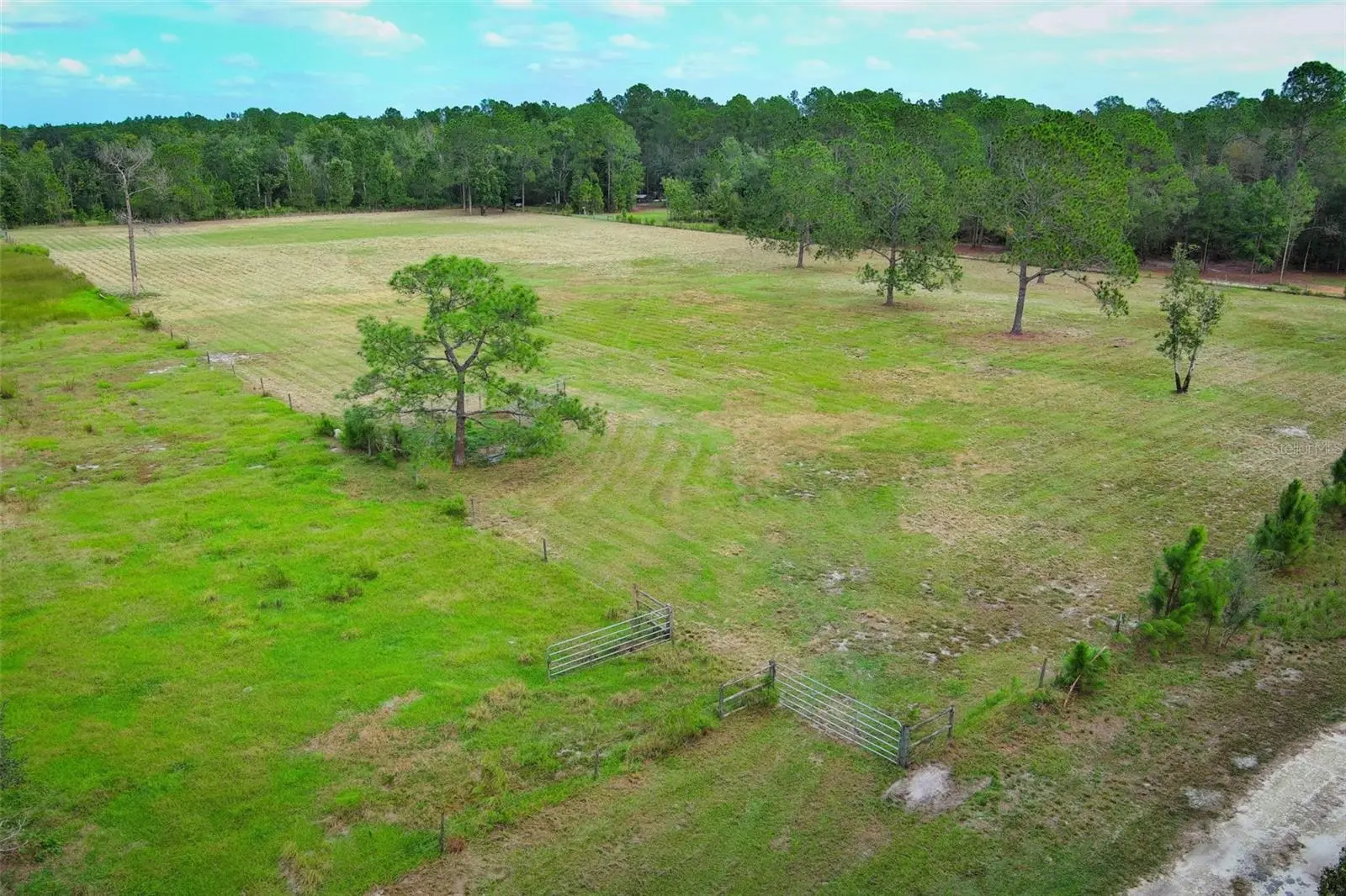 Oil Well Road, FL