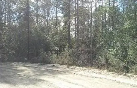 Tbd Se 213th Terrace, FL
