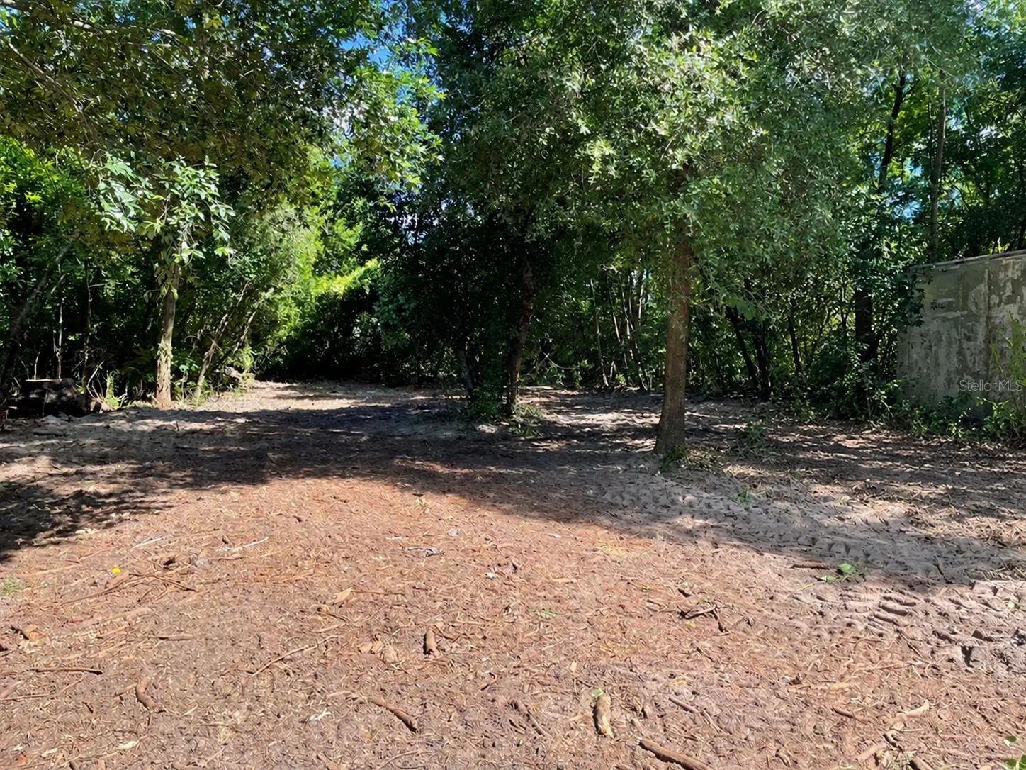 12718 Litewood Drive, FL