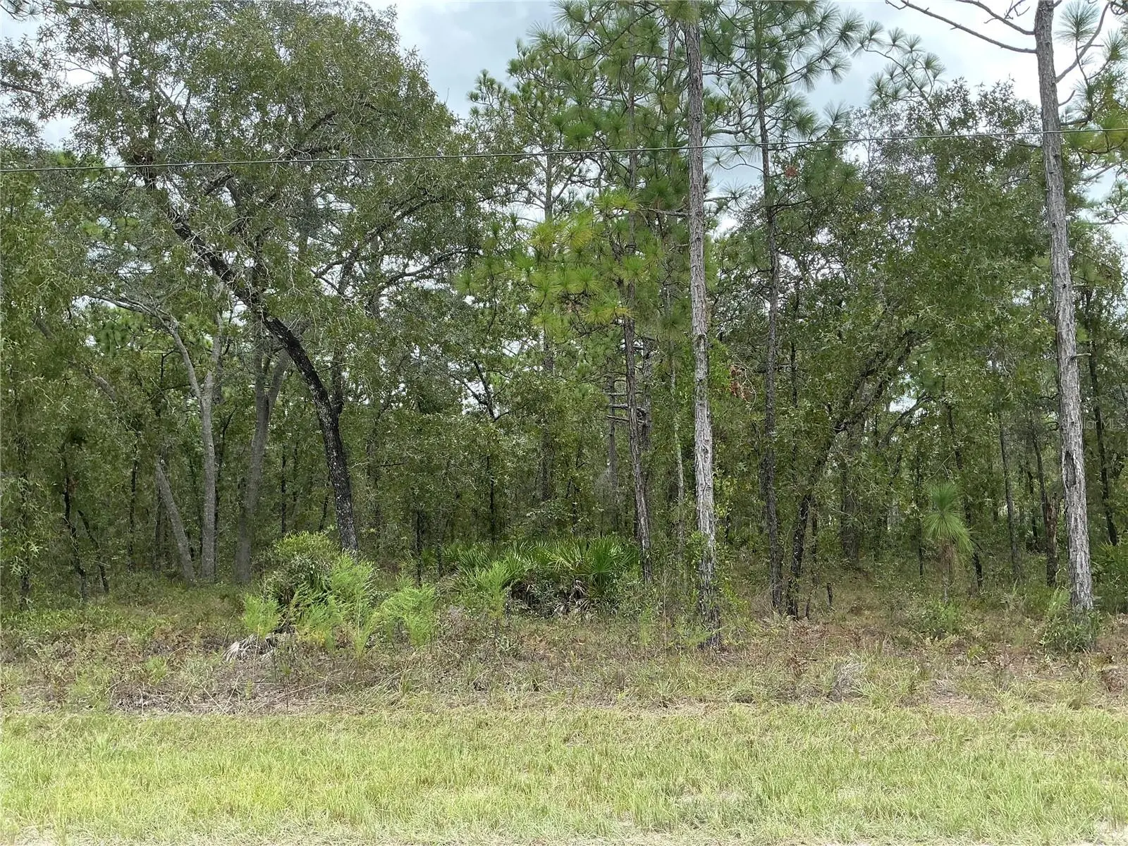 16118 Marsh Quail Road, FL