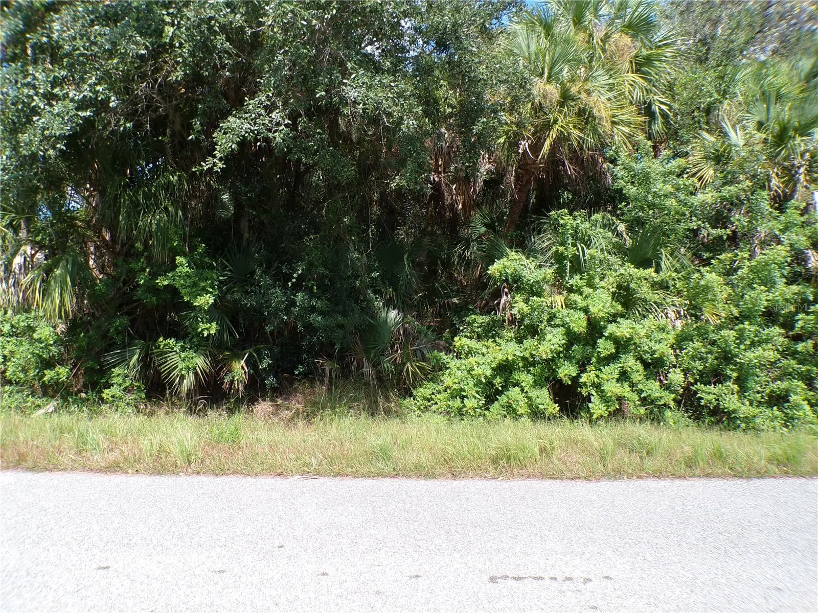 Nansen Lane, FL