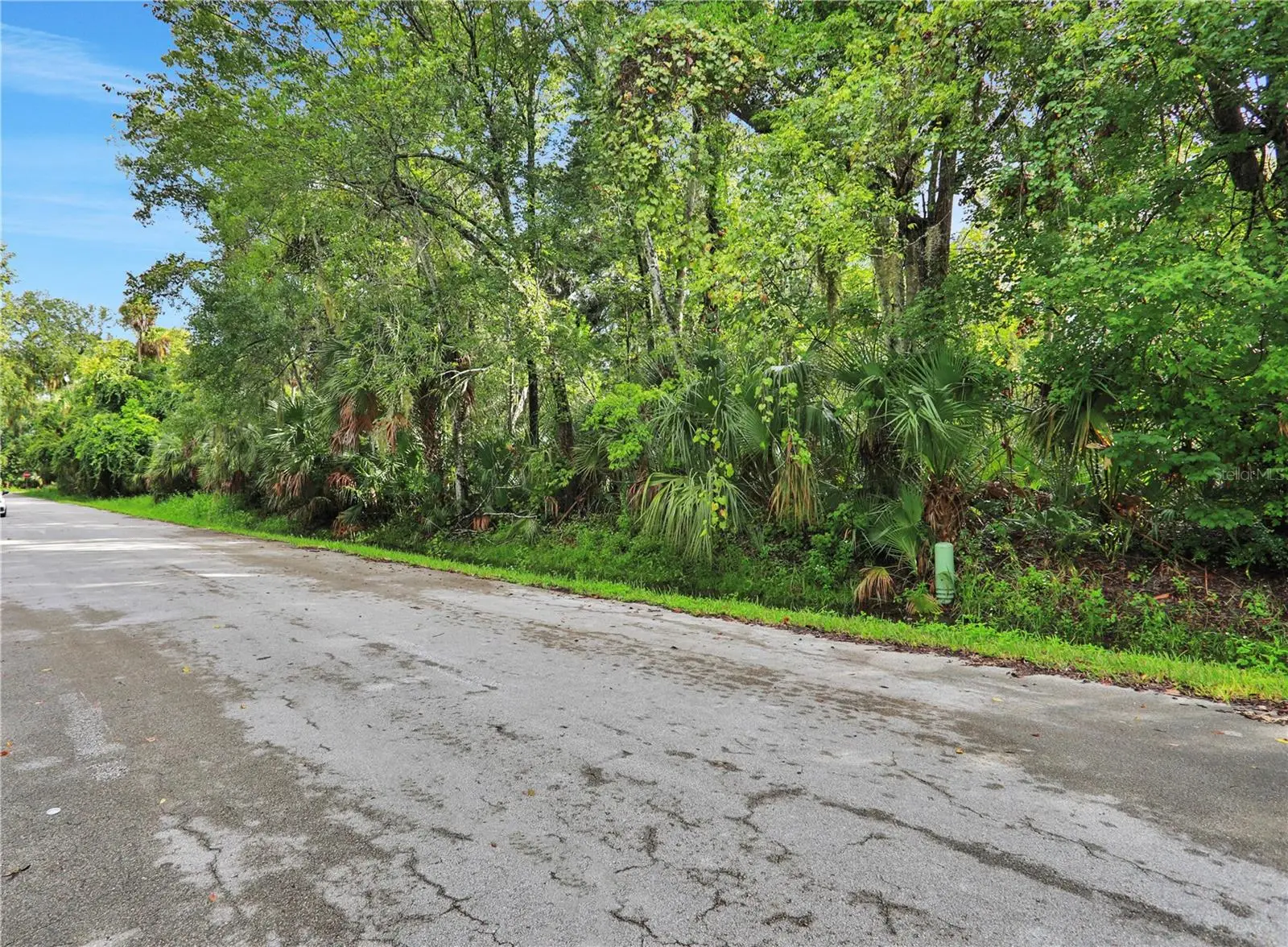 711 Tennessee Terrace, FL