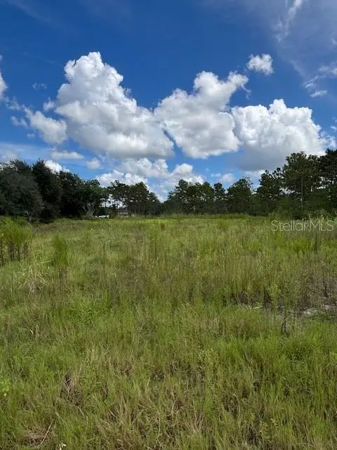 Babbitt Avenue, FL
