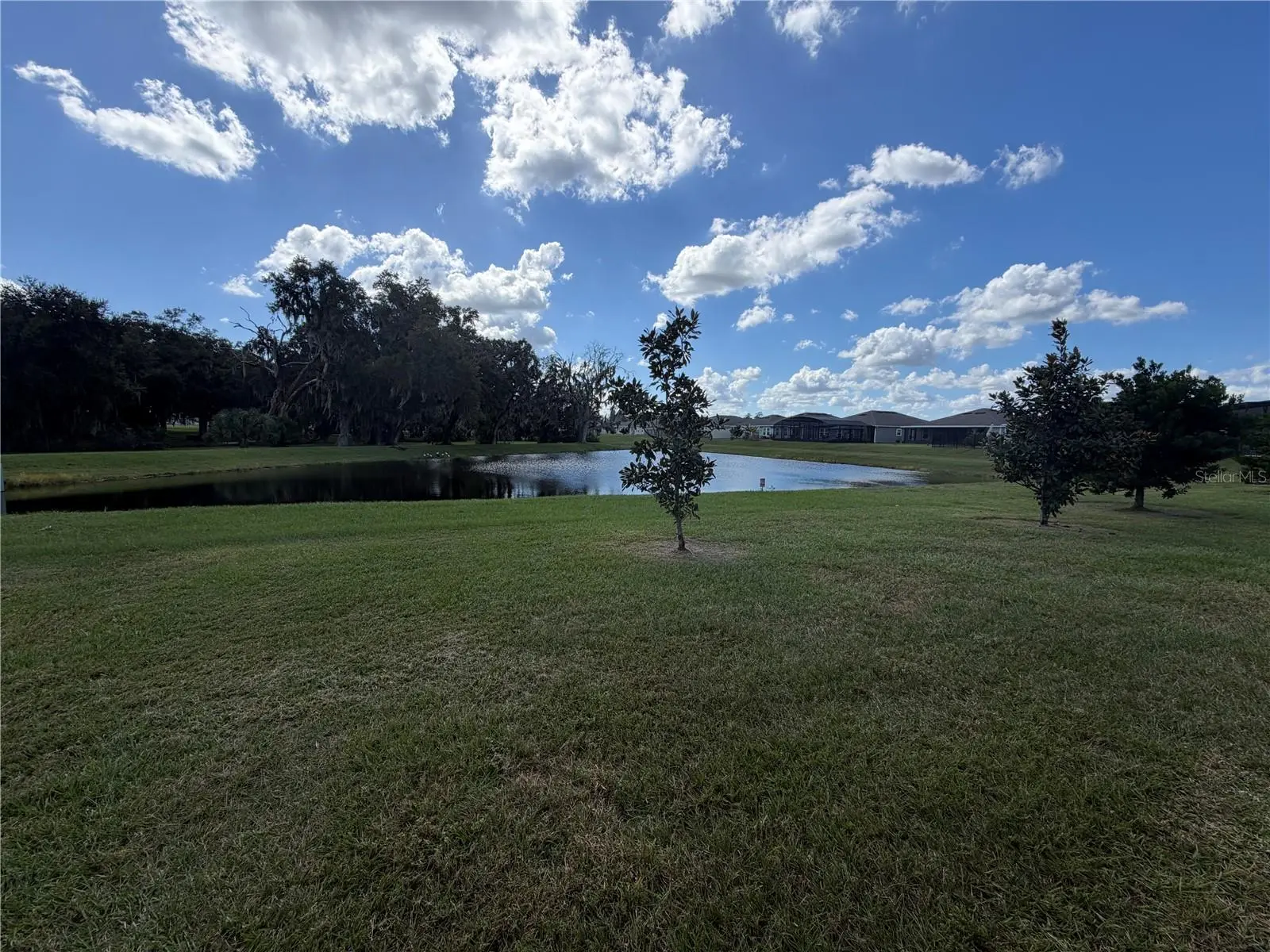 1913 Cricket Cradle Drive, FL