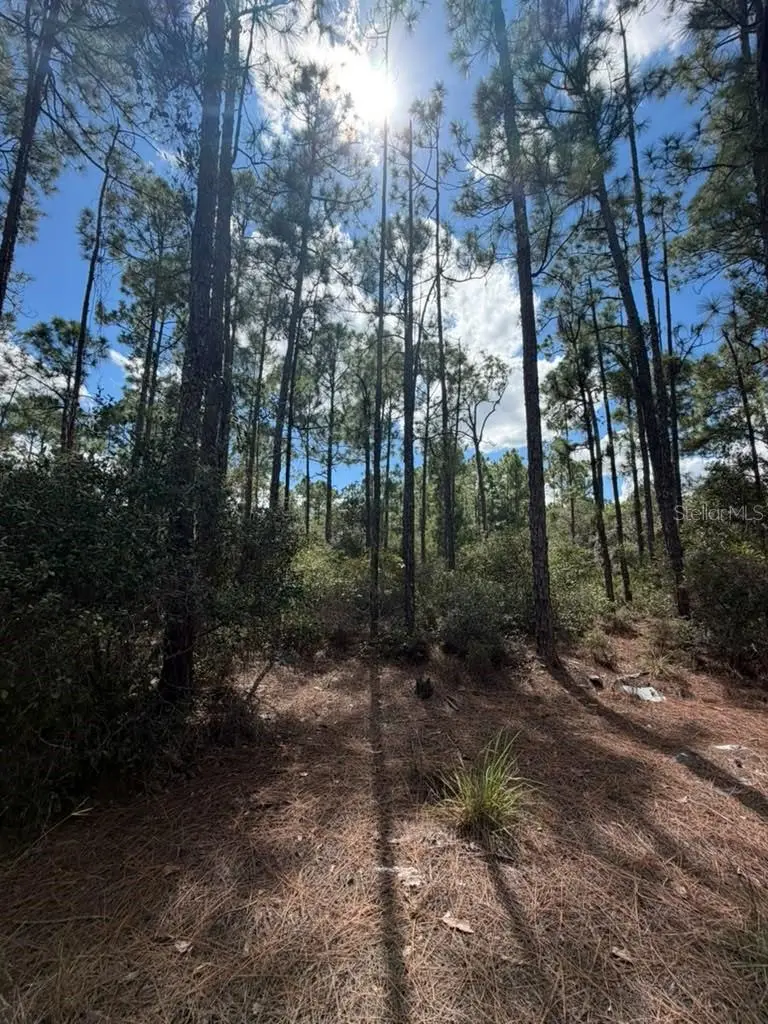 421 Amorous Avenue, FL