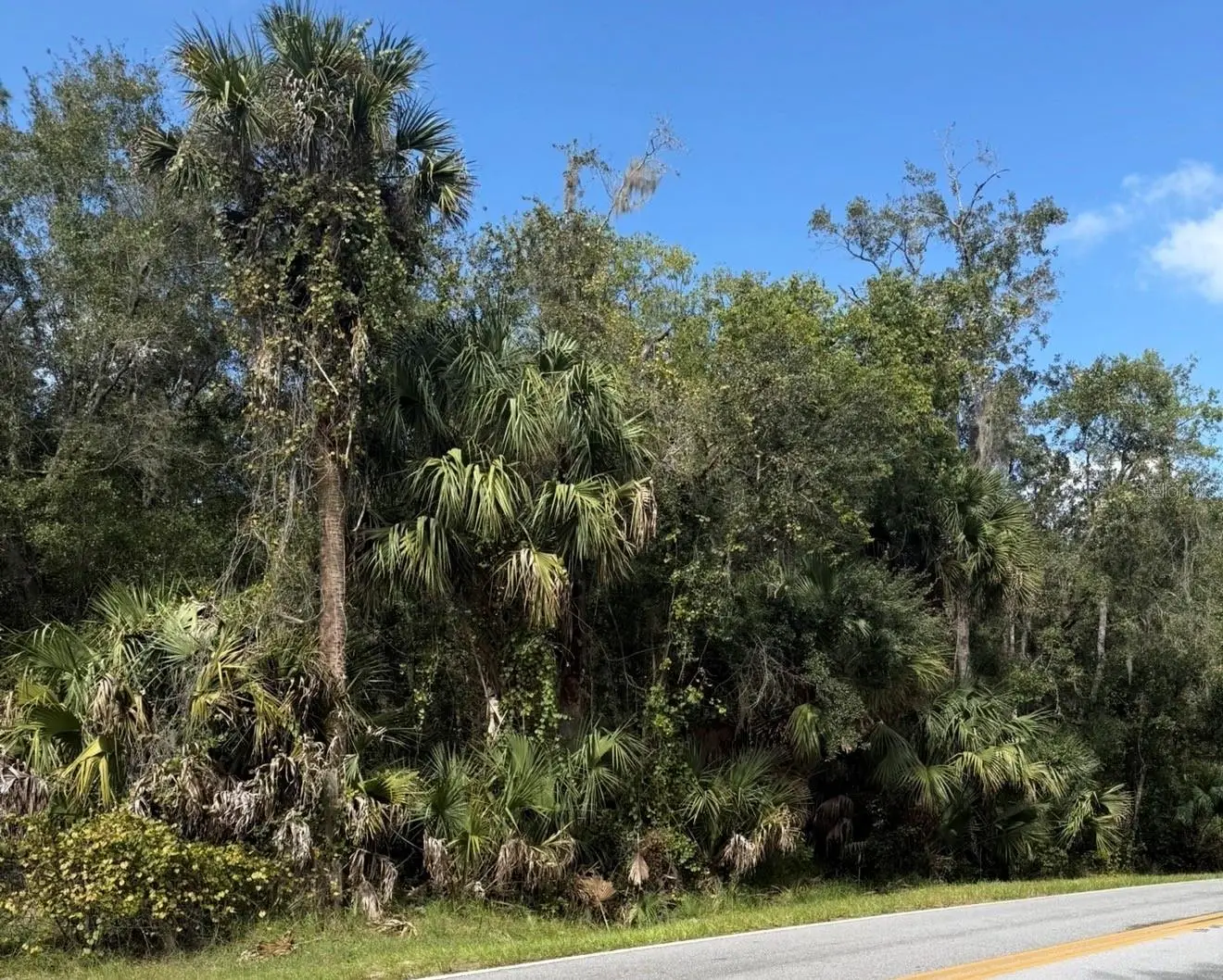 Old Kissimmee Road, FL