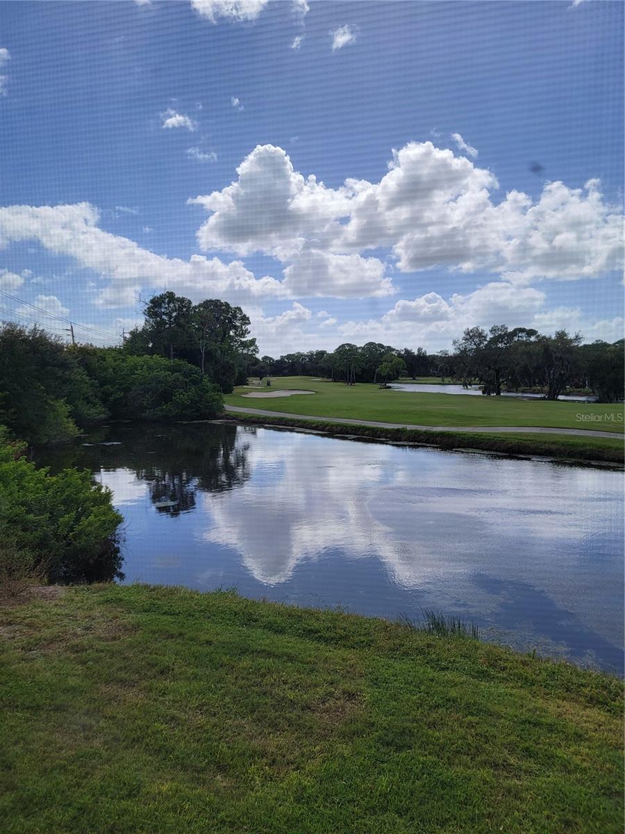 5654 Sheffield Greene Circle, FL