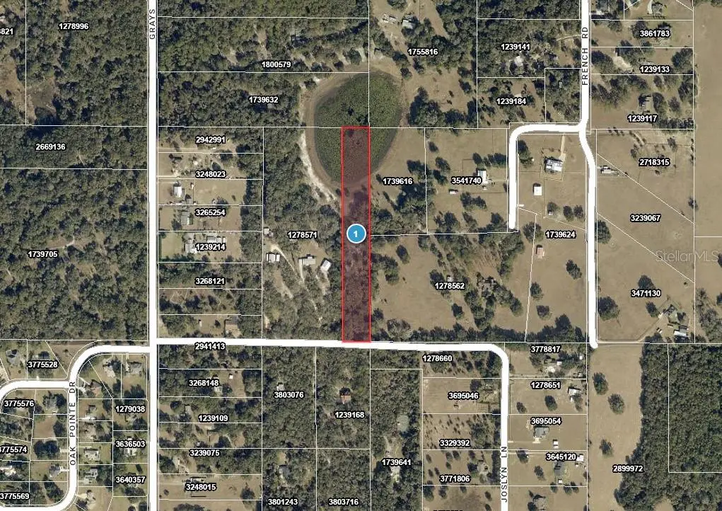 4219 Joslyn Lane, FL