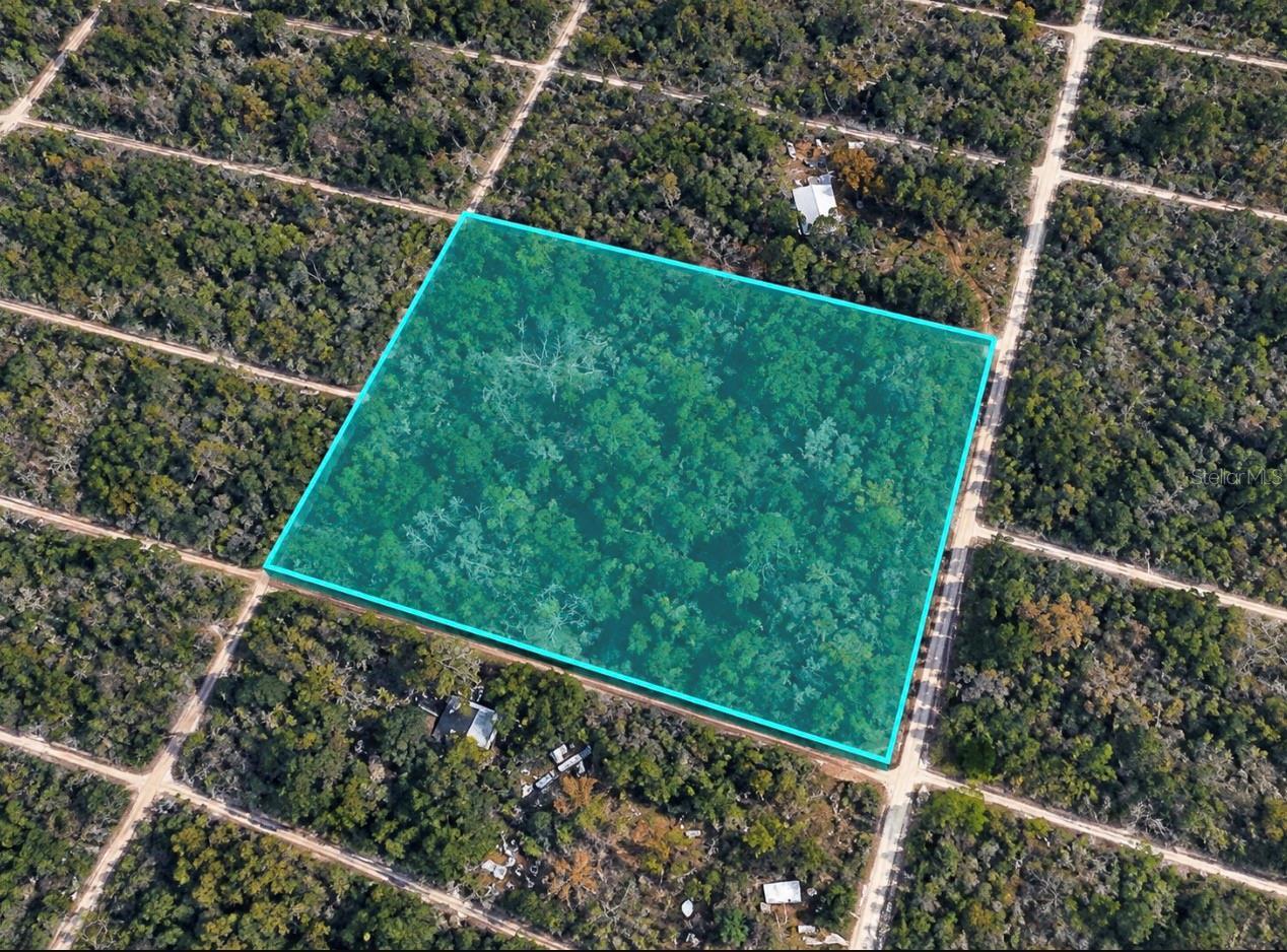 330 Dew Plant Point, FL