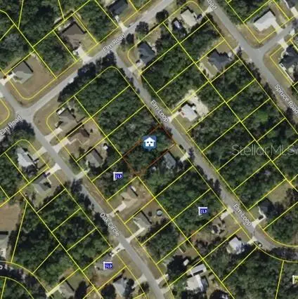 Elm Loop, FL