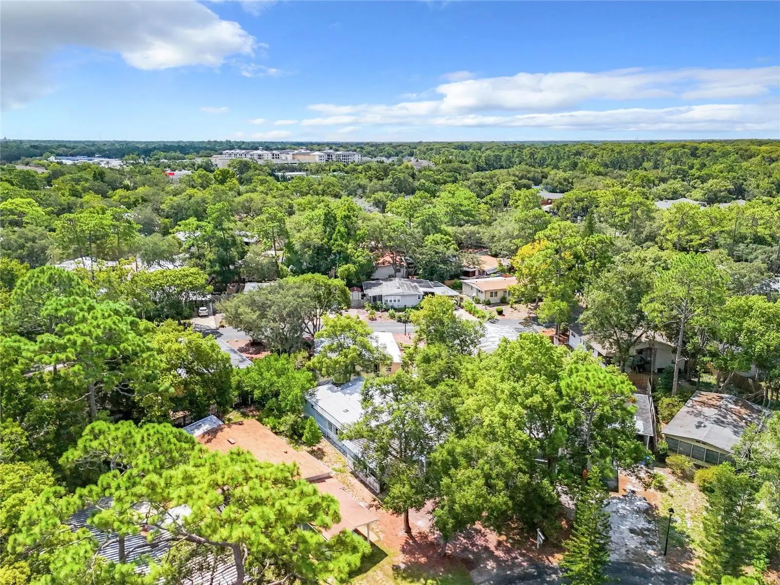 230 Peppertree Court, FL