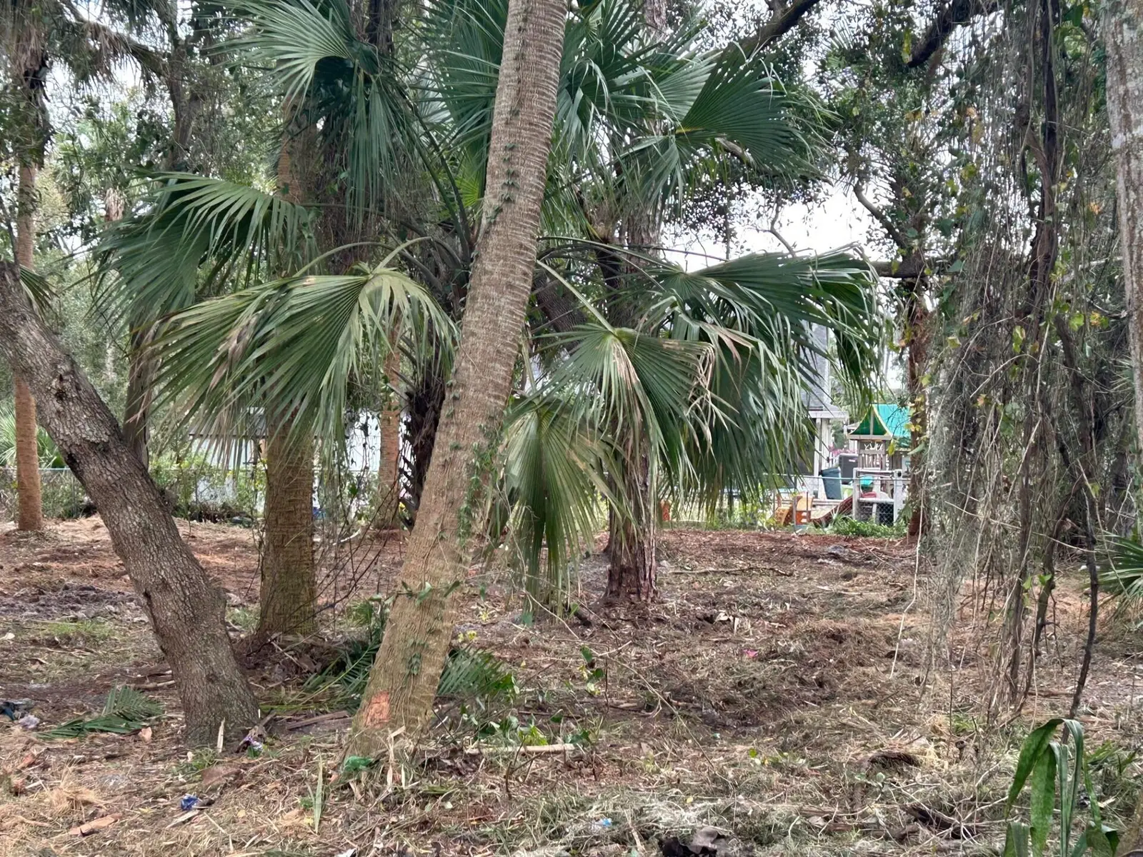 Xxxx Fiske, Rockledge, Fl 32955, FL