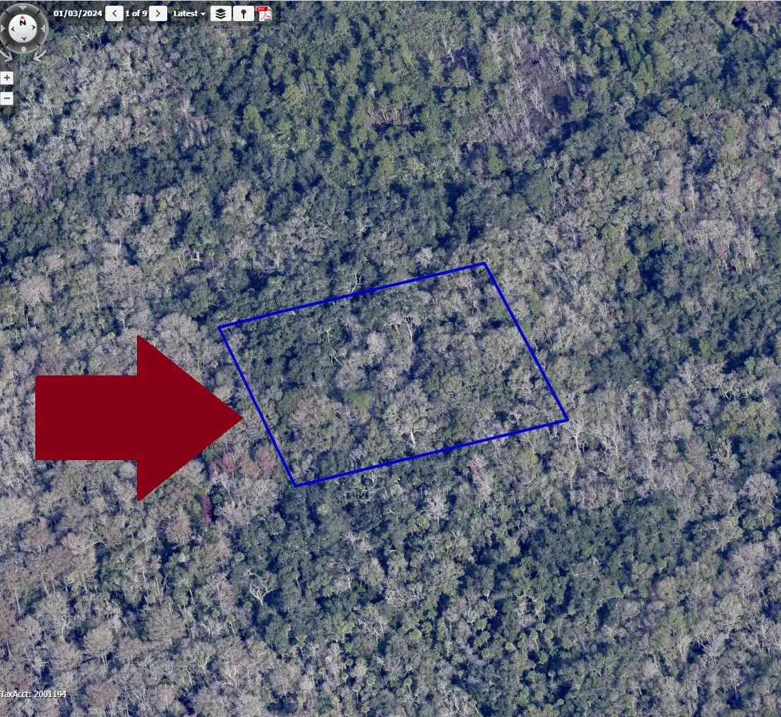 00000 No Access W Of Meadows Green Road, Mims, Fl 32754, FL