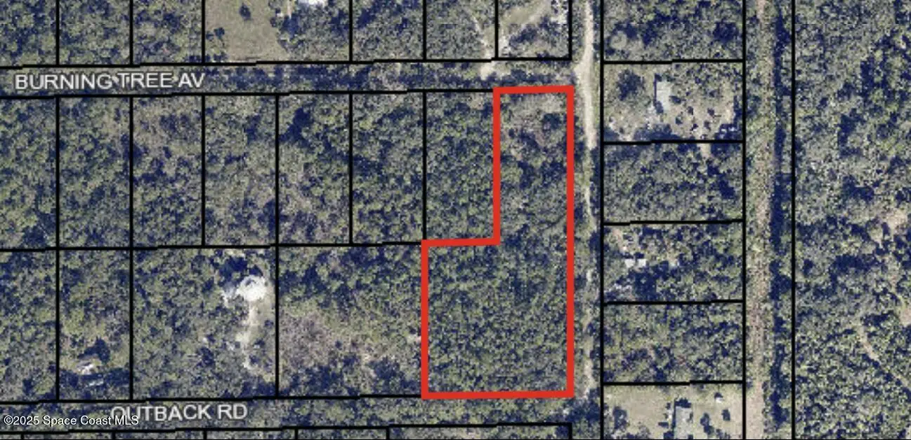 0 Burning Tree Avenue, Cocoa, Fl 32926, FL