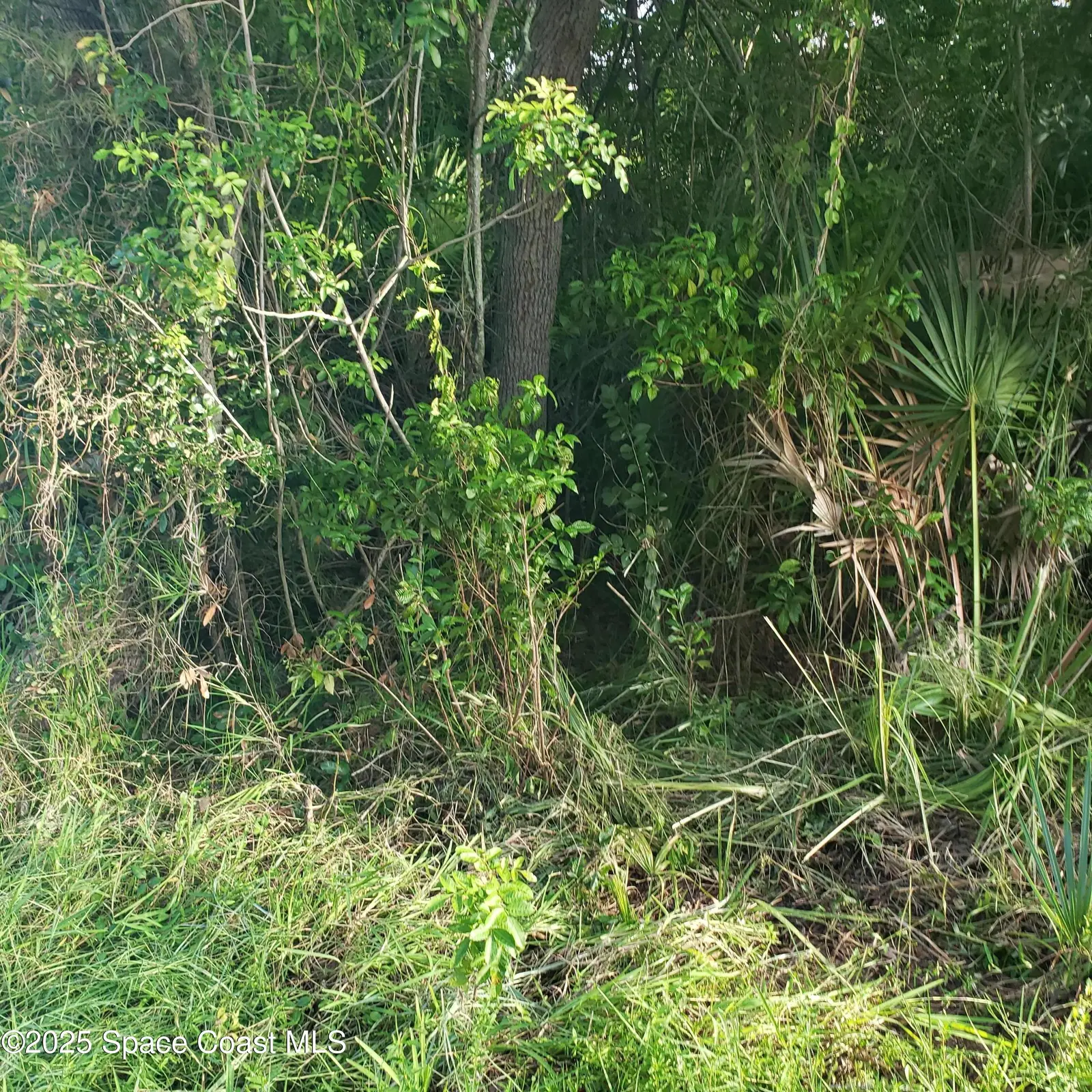 1462 Newfound Harbor Drive, Merritt Island, Fl 32952, FL