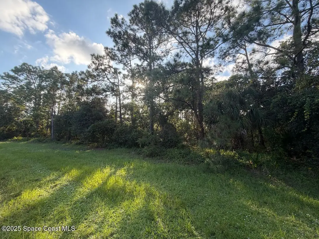 3900 Rambling Acres Drive, Titusville, Fl 32796, FL