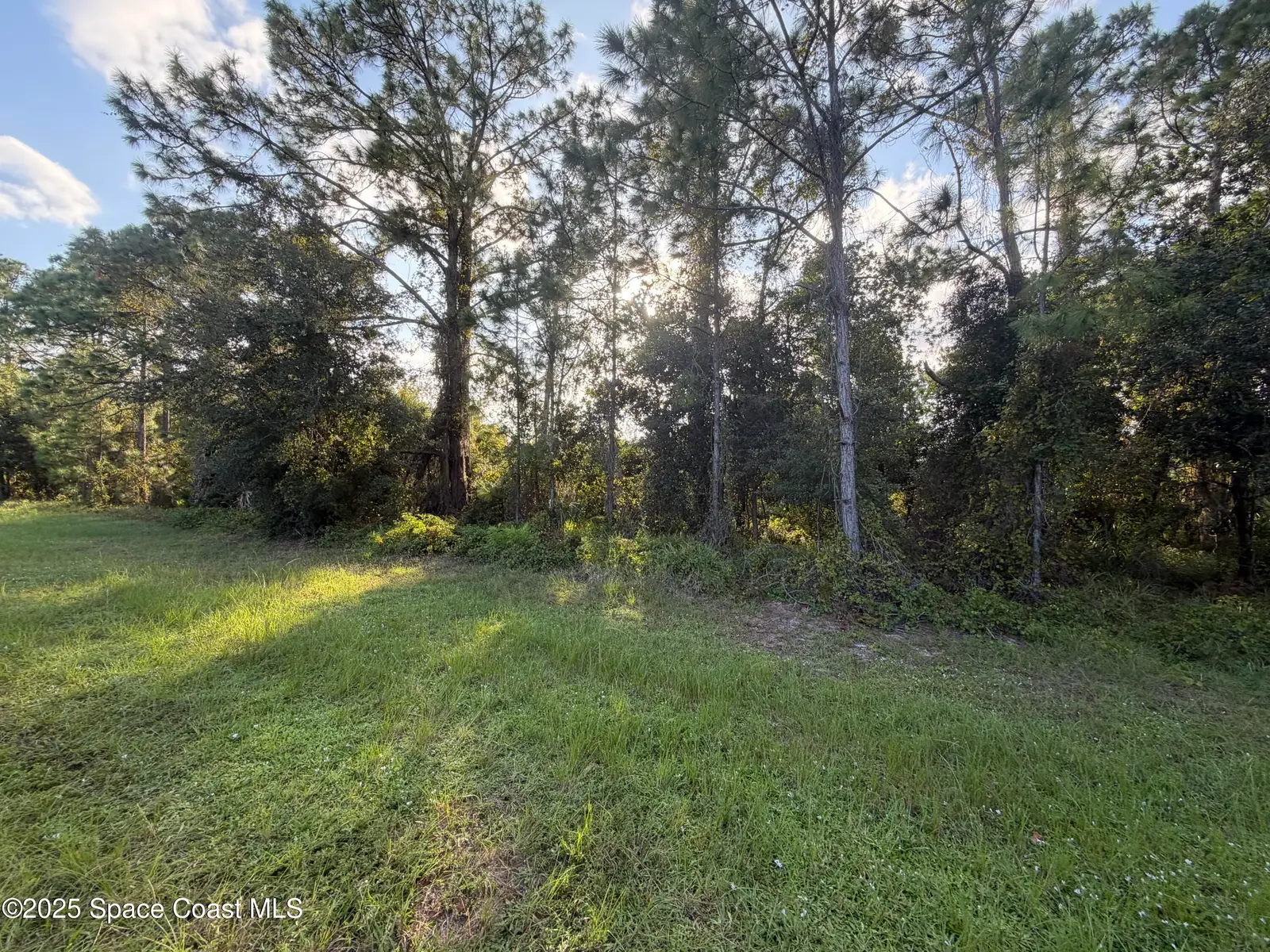 3900 Rambling Acres Drive, Titusville, Fl 32796, FL