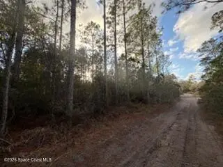 880 Still Road, Pierson, Fl 32180, FL