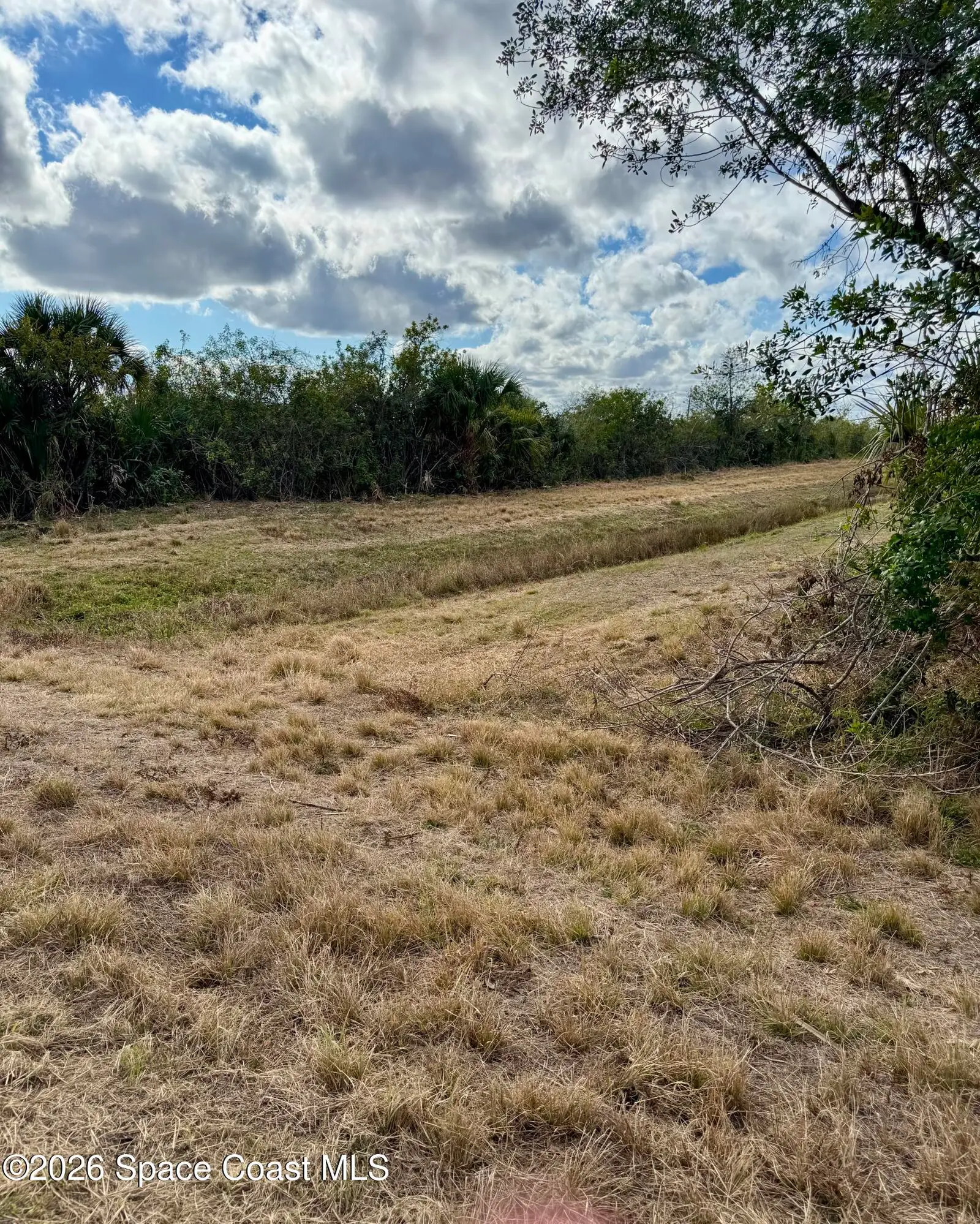 8520 Horseshoe Avenue, Palm Bay, Fl 32909, FL