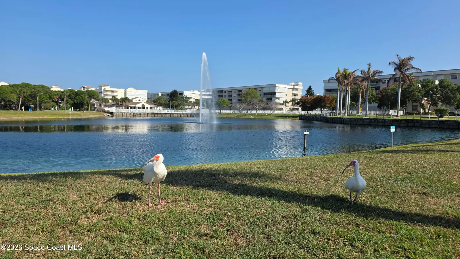 604 Shorewood Drive B503, Cape Canaveral, Fl 32920, FL