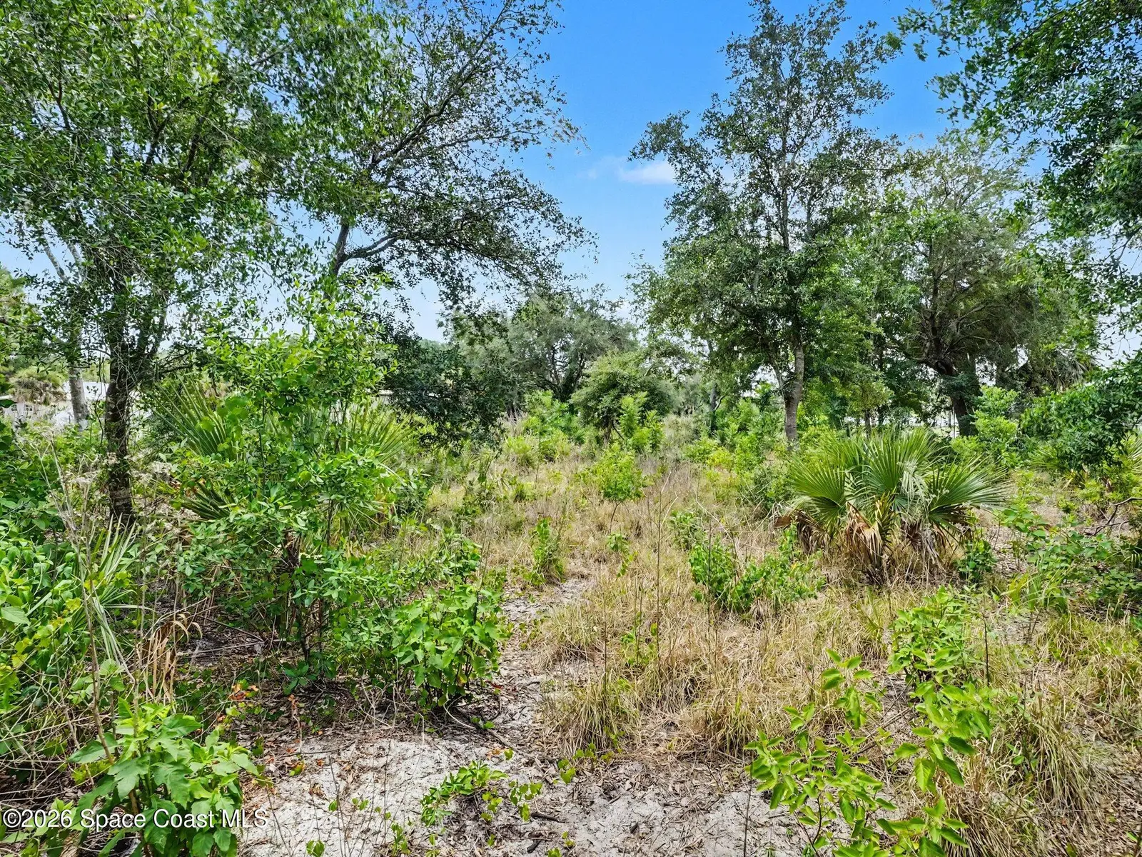 5560 Cangro Street, Cocoa, Fl 32926, FL