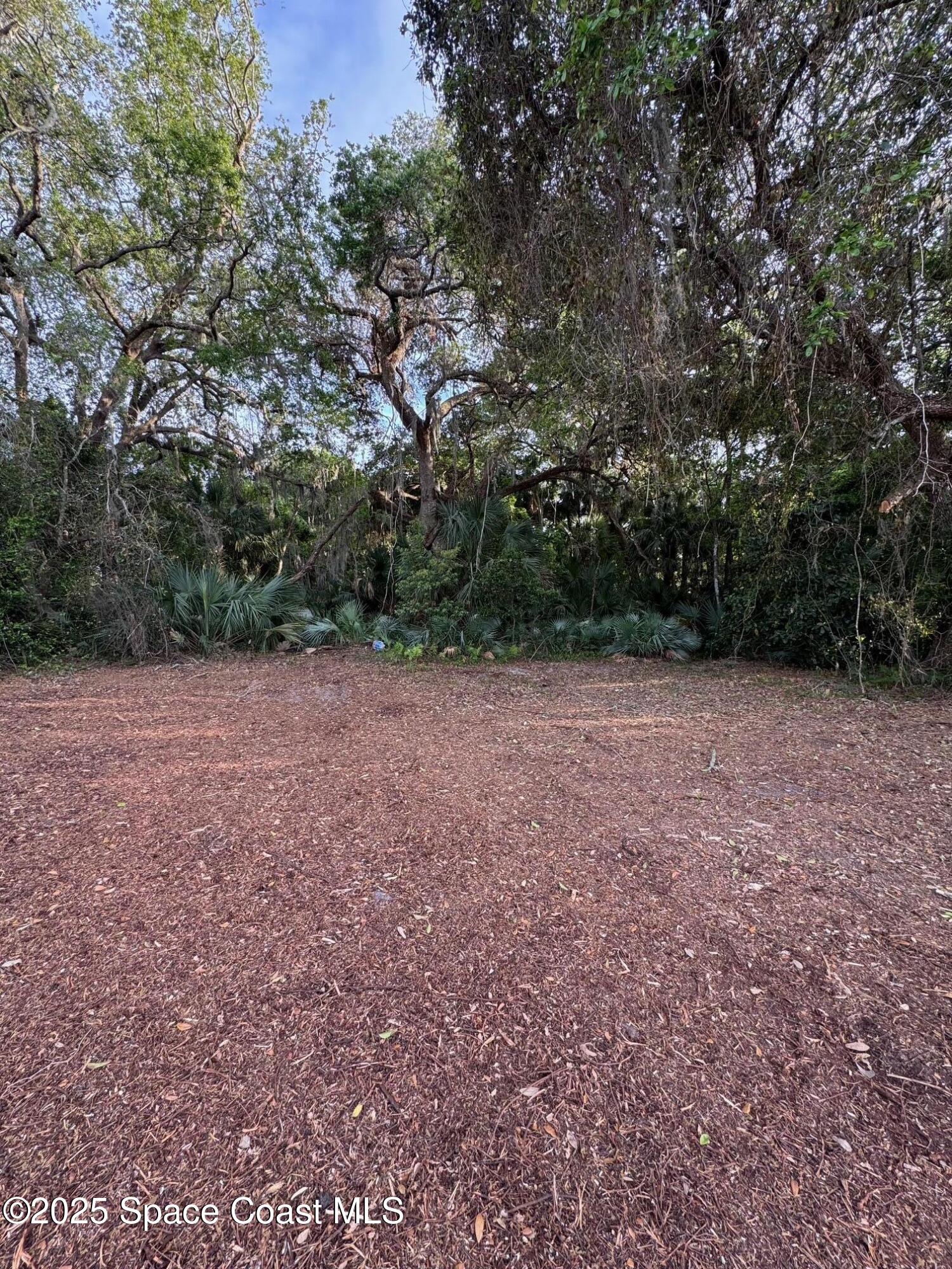 0000 N Carpenter Road, Titusville, Fl 32796, FL