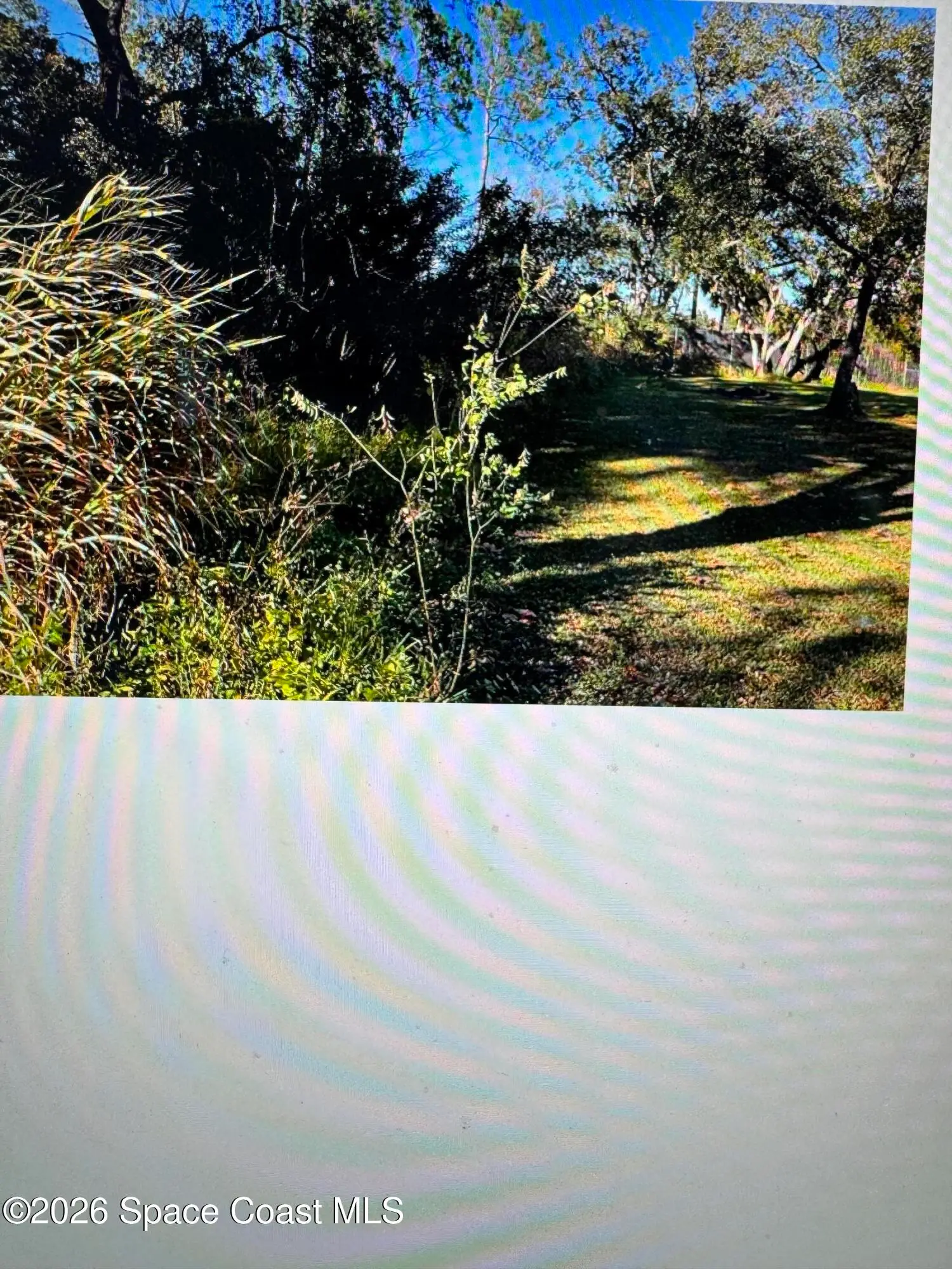 0000 Grove Drive, Sanford, Fl 32773, FL