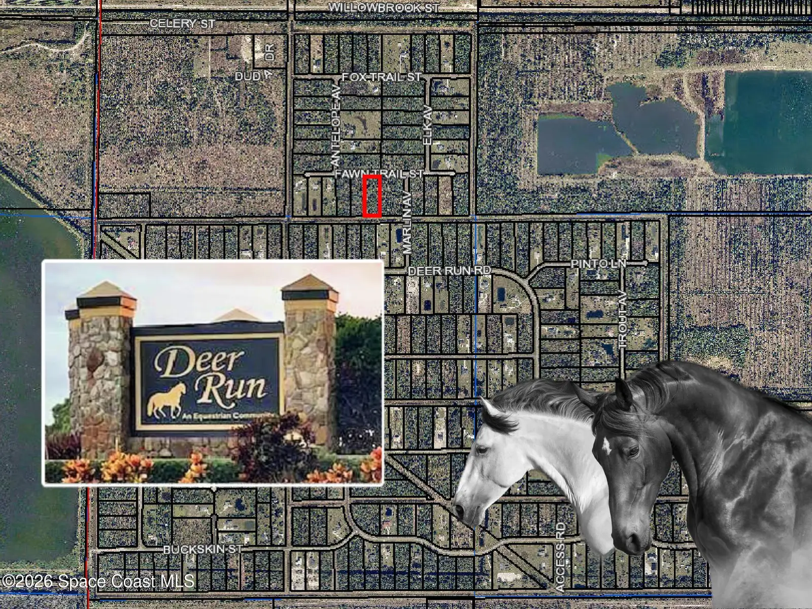 325 Fawn Trail Street, Palm Bay, Fl 32909, FL