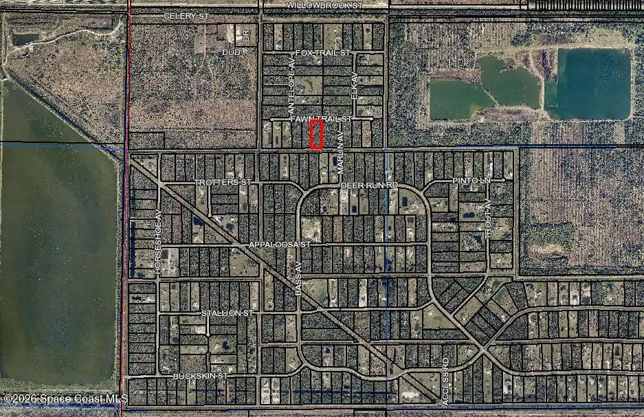 325 Fawn Trail Street, Palm Bay, Fl 32909, FL