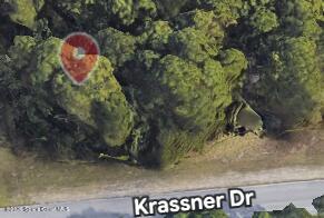 241 Krassner Drive, Palm Bay, Fl 32907, FL