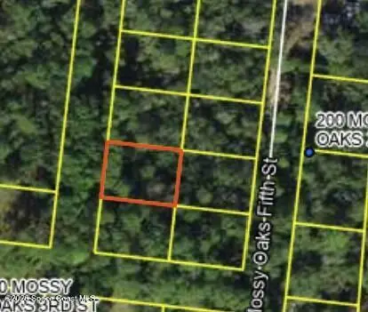 200 Mossy Oaks Fourth Street, Other, Fl 99999, FL