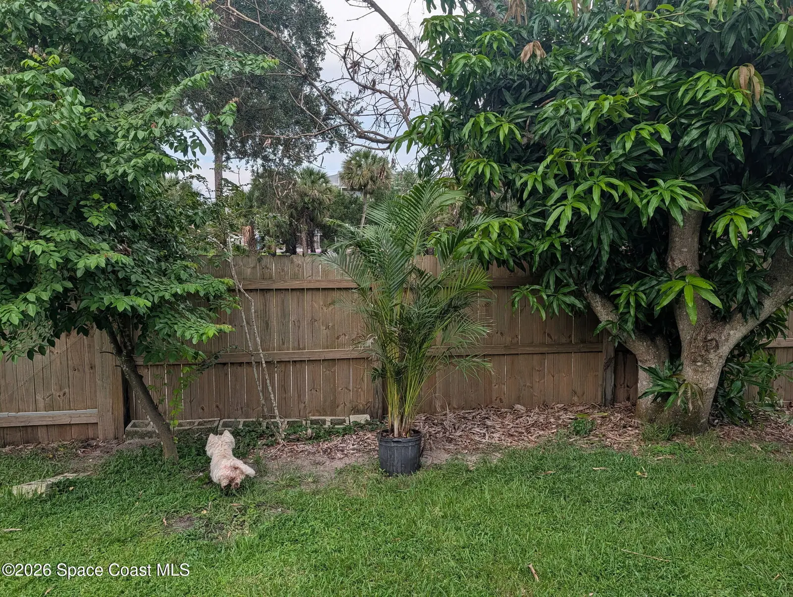1835 Longleaf Road, Cocoa, Fl 32926, FL