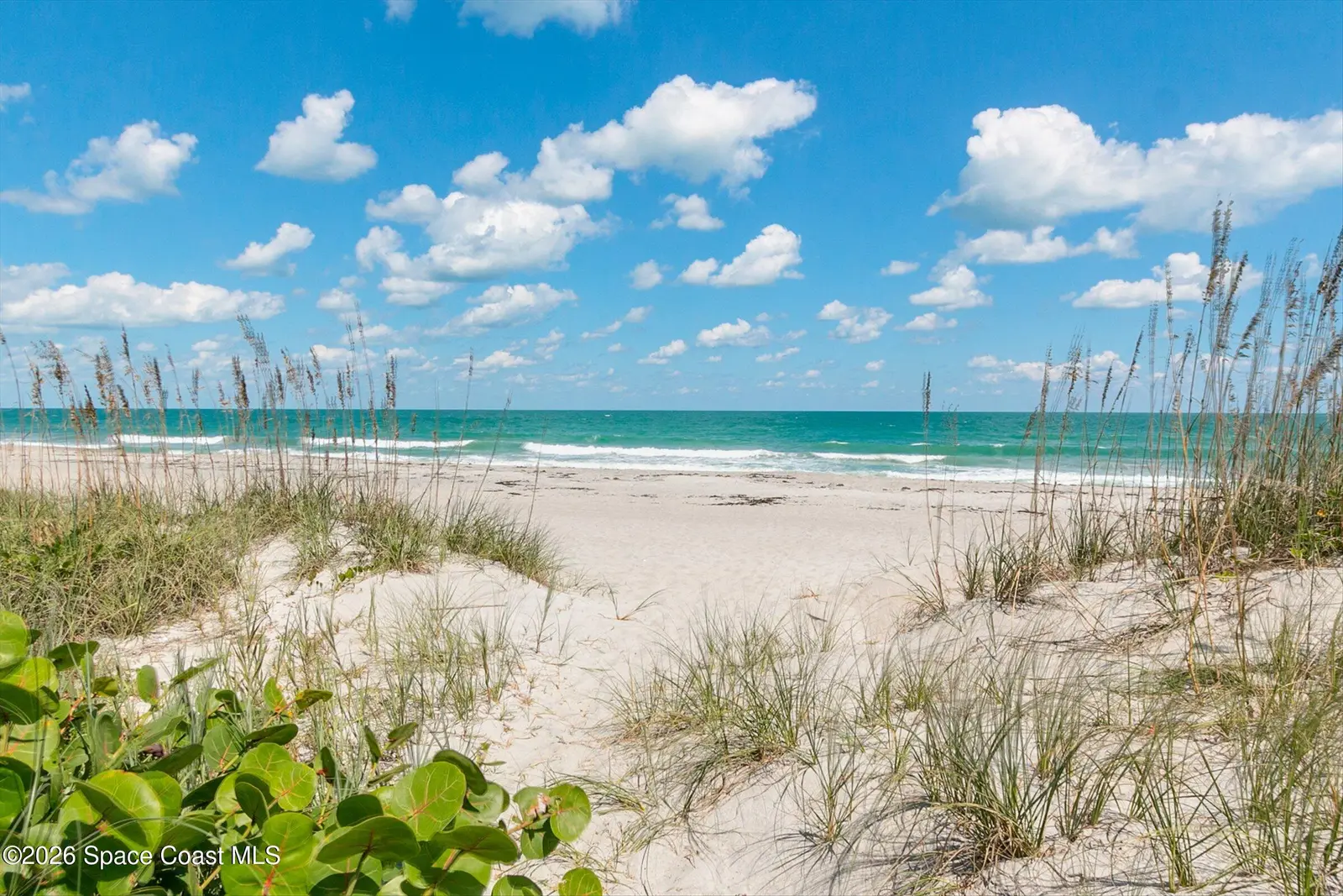 1225 N Wickham Road 223, Melbourne, Fl 32935, FL