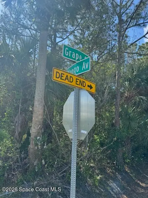 0 Grape And Mango Street, Cocoa, Fl 32926, FL