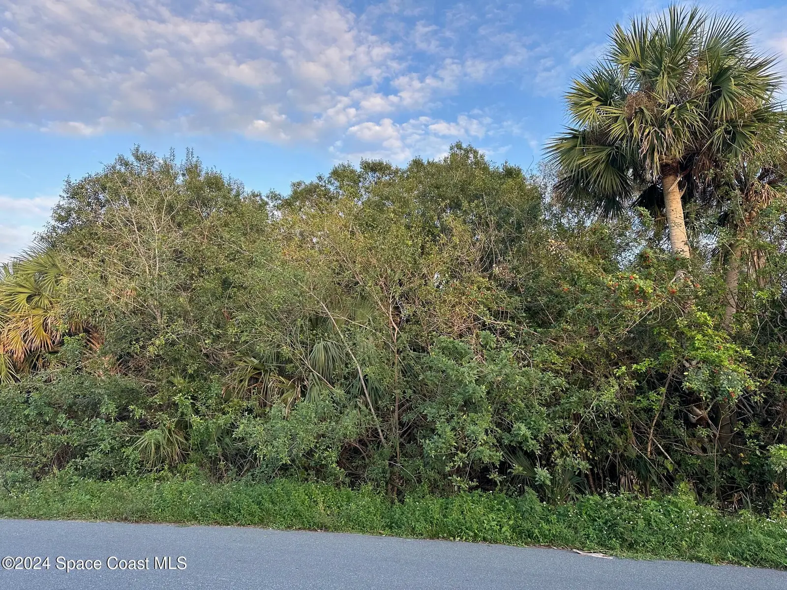 2961 Palisades Drive Se, Palm Bay, Fl 32909, FL