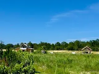 51 White Pelican Lane, Sebastian, Fl 32958, FL