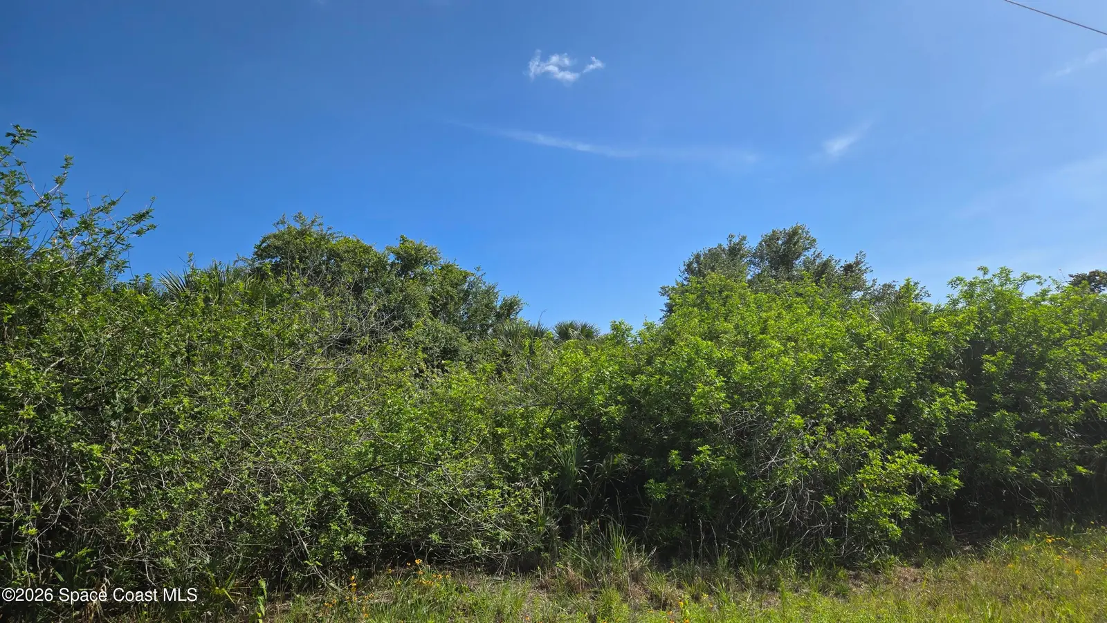 321 Buckskin Street, Palm Bay, Fl 32909, FL