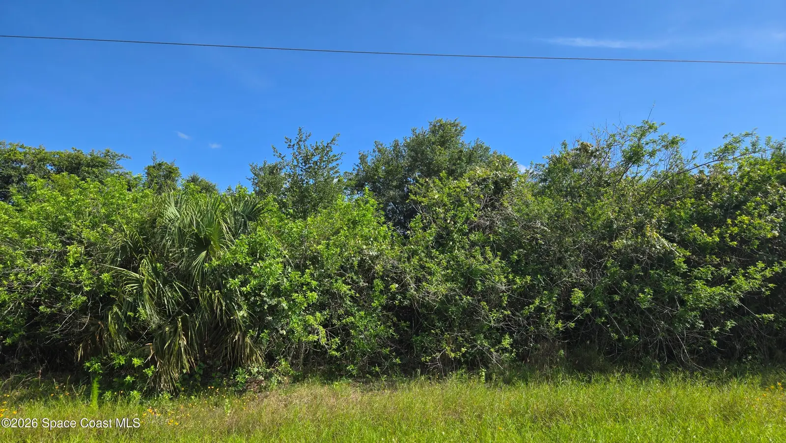 321 Buckskin Street, Palm Bay, Fl 32909, FL