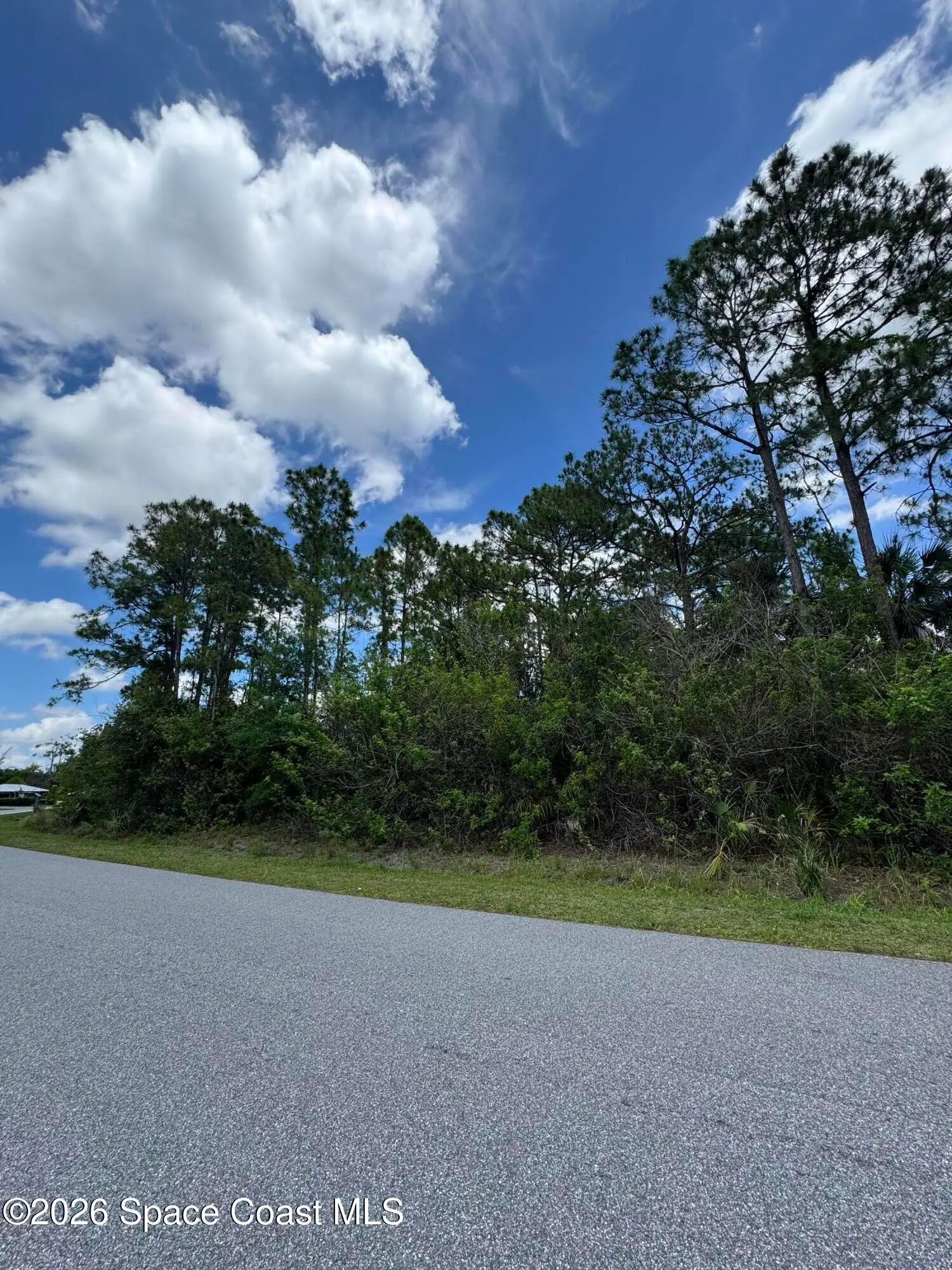 1872 Red Bud Circle Nw, Palm Bay, Fl 32907, FL
