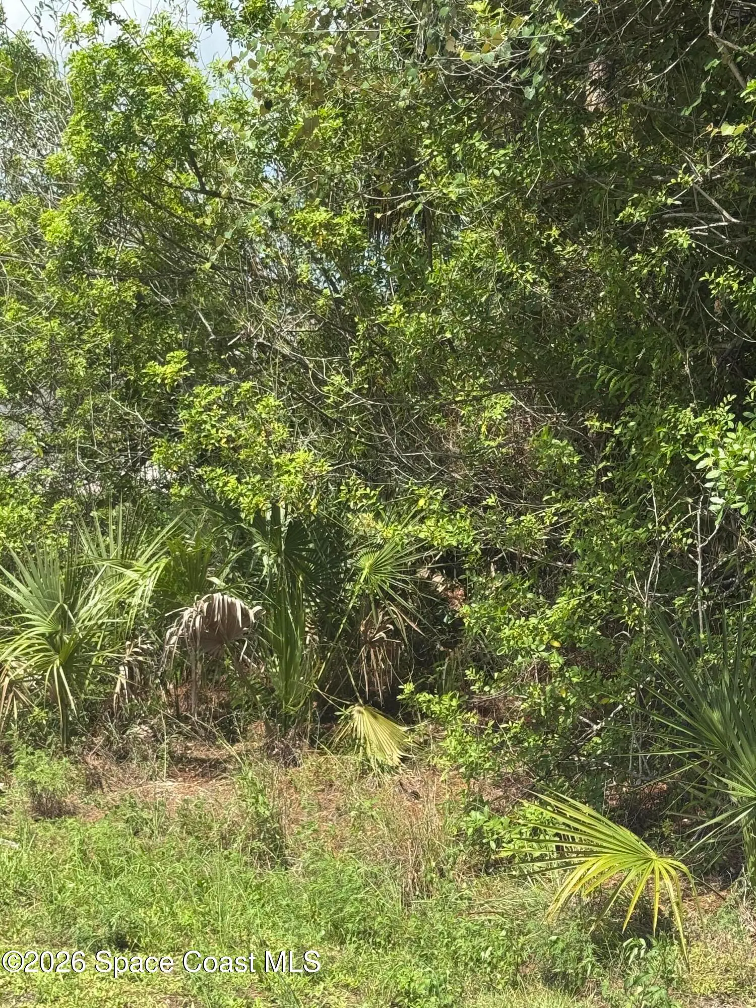 1872 Red Bud Circle Nw, Palm Bay, Fl 32907, FL